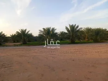 مزرعة للبيع في شارع اليمامة, حي اليمامة, مدينة الخرج, منطقة الرياض صورة 3