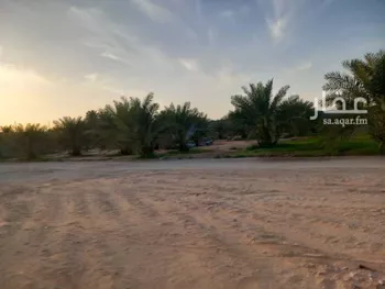 مزرعة للبيع في شارع اليمامة, حي اليمامة, مدينة الخرج, منطقة الرياض صورة 5