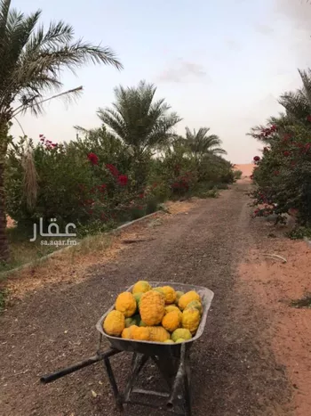 مزرعة للبيع في حي الغرابه ومزارعها, مدينة الغرابه ومزارعها, منطقة الرياض صورة 5