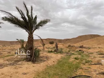 أرض للبيع في حي لبب, مدينة حريملاء, منطقة الرياض