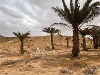 أرض للبيع في حي لبب, مدينة حريملاء, منطقة الرياض صورة 2