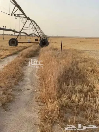 مزرعة للبيع في شارع ساق, حي ساق, مدينة ساق, منطقة القصيم صورة 2