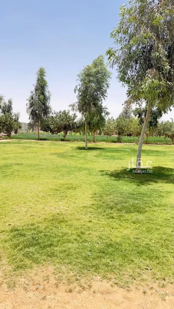 مزرعة للبيع في حي العليا, مدينة الجله, منطقة الرياض صورة 3
