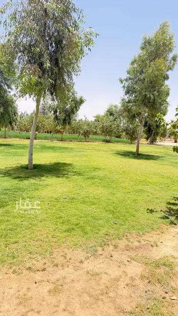 مزرعة للبيع في حي العليا, مدينة الجله, منطقة الرياض صورة 2