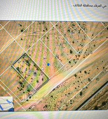 أرض للبيع في شارع العرفا, حي الجودية, مدينة امارة منطقة مكة المكرمة - الطائف, منطقة مكة المكرمة
