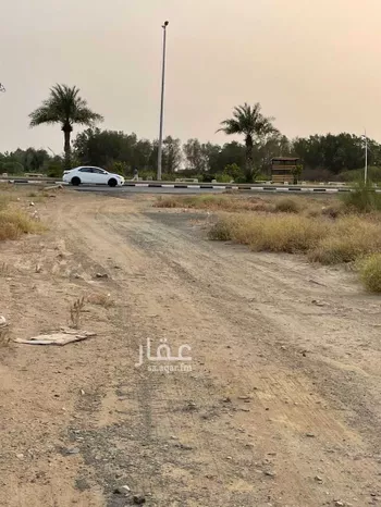 أرض للإيجار في 3- شارع الملك عبدالله ، حي الملك فهد ، ابو عريش ، ابو عريش صورة 5