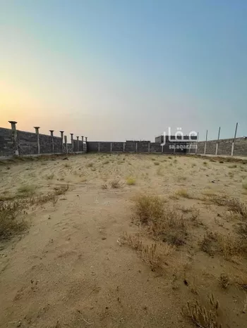 أرض للإيجار في 3- شارع الملك عبدالله ، حي الملك فهد ، ابو عريش ، ابو عريش صورة 3