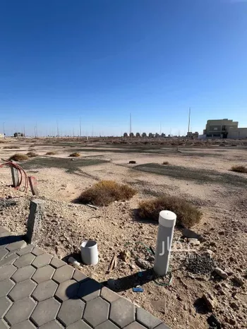 أرض للبيع في شارع شارع الزنبق, مدينة مدينة الملك عبدالله الإقتصاديه, منطقة مكة المكرمة صورة 2