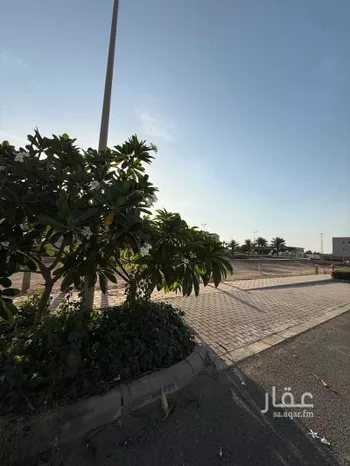أرض للبيع في شارع شارع الرحيق, مدينة مدينة الملك عبدالله الإقتصاديه, منطقة مكة المكرمة صورة 5