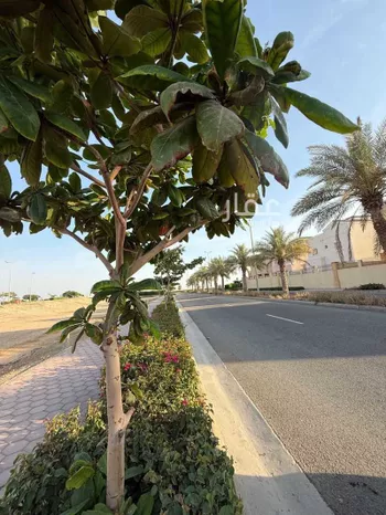أرض للبيع في شارع شارع الرحيق, مدينة مدينة الملك عبدالله الإقتصاديه, منطقة مكة المكرمة صورة 4
