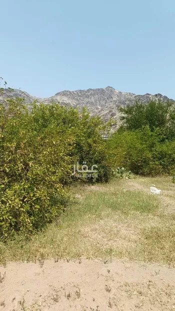 أرض للبيع في شارع الجودرية الجديد , حي الجودرية الجديد, مدينة مكه المكرمه, منطقة مكة المكرمة صورة 3