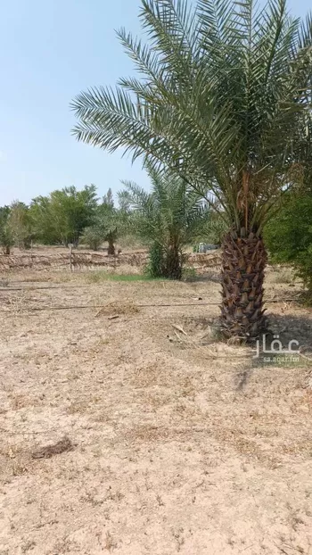أرض للبيع في شارع الجودرية الجديد , حي الجودرية الجديد, مدينة مكه المكرمه, منطقة مكة المكرمة صورة 5