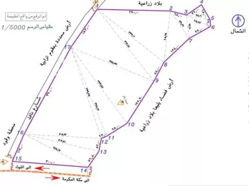 أرض للبيع في شارع طريق الليث, حي الغزة الجديد, مدينة مكه المكرمه, منطقة مكة المكرمة صورة 2
