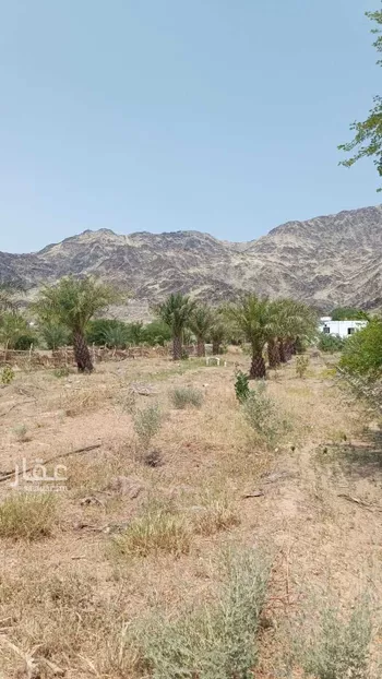 أرض للبيع في شارع الجودرية الجديد , حي الجودرية الجديد, مدينة مكه المكرمه, منطقة مكة المكرمة صورة 2