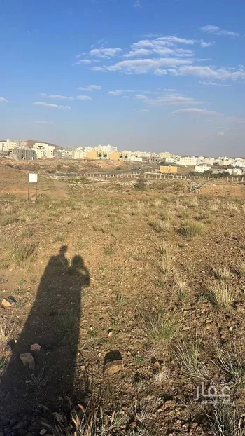 أرض للبيع في شارع 91 الزين ، الجعجاع ، منطقة عسير صورة 2