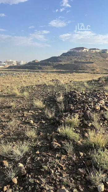 أرض للبيع في شارع 91 الزين ، الجعجاع ، منطقة عسير صورة 3