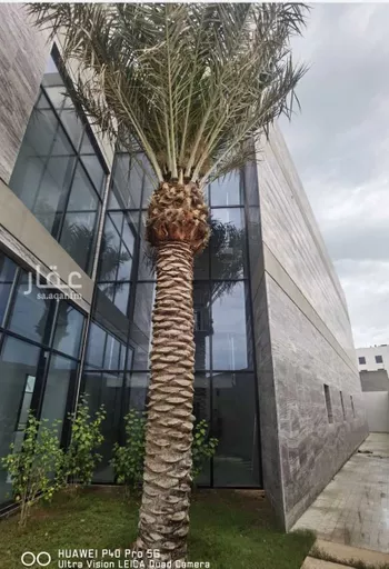 فيلا للبيع في شارع 10607234, حي البحر, مدينة الخبر, المنطقة الشرقية صورة 3