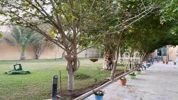 استراحة للإيجار في شارع العماريه 623, مدينة العماريه, منطقة الرياض صورة 5