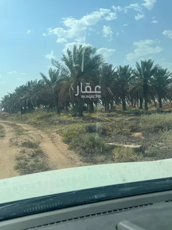 مزرعة للبيع في شارع يحيي المخزومي, حي القرين, مدينة القرين, منطقة القصيم صورة 2