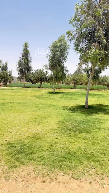أرض للبيع في شارع الجله, حي العليا, مدينة الجله, منطقة الرياض