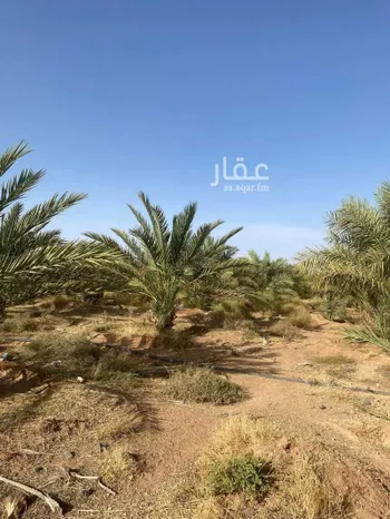 مزرعة للبيع في شارع حزره 147 ، العثيا ، منطقة المدينة المنورة صورة 2