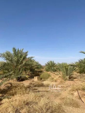 مزرعة للبيع في شارع حزره 147 ، العثيا ، منطقة المدينة المنورة