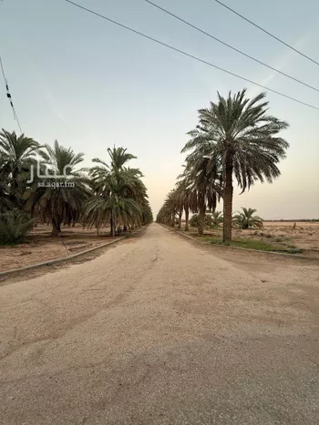 مزرعة للبيع في شارع السلطانيه 458, مدينة الخرج, منطقة الرياض صورة 4
