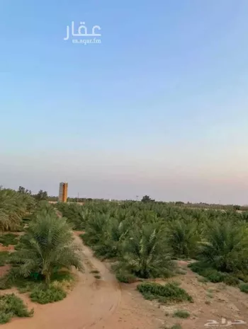 مزرعة للبيع في شارع طريق الملك سلمان, حي مزارع الحماده الشماليه, مدينة مزارع الحماده الشماليه, منطقة الرياض صورة 2