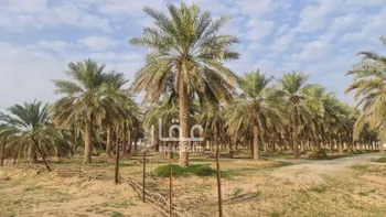 مزرعة للبيع في شارع العقيلو ومزارعها 607, مدينة العقيلة ومزارعها, منطقة القصيم صورة 5