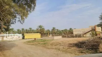 مزرعة للبيع في شارع العقيلو ومزارعها 607, مدينة العقيلة ومزارعها, منطقة القصيم
