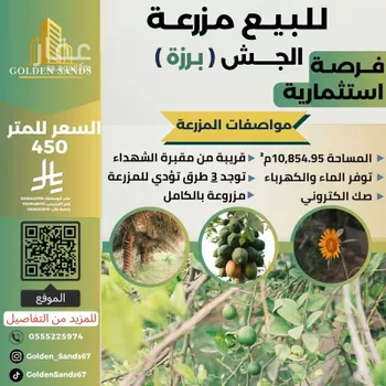 مزرعة للبيع في شارع العام, مدينة القطيف, المنطقة الشرقية