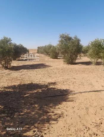 مزرعة للبيع في شارع 000, مدينة ميقوع, منطقة الجوف صورة 4