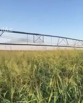 مزرعة للبيع في حي حماده الفروثى, مدينة حماده الفروثى, منطقة الرياض صورة 3