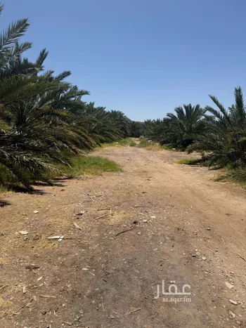 مزرعة للبيع في شارع المندسة 1049, حي المندسة, مدينة المدينه المنوره, منطقة المدينة المنورة صورة 3