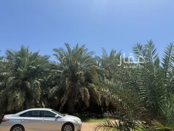 مزرعة للبيع في شارع المندسة 1049, حي المندسة, مدينة المدينه المنوره, منطقة المدينة المنورة صورة 4