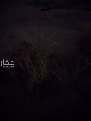 أرض للبيع في شارع الطويه ، حي الفيصلية ، الدمام ، الدمام صورة 5
