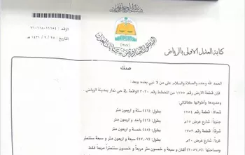 أرض للبيع في شارع وادي نعام ، حي ضاحية نمار ، الرياض ، منطقة الرياض صورة 2