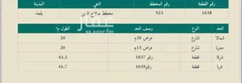 أرض للبيع في شارع دوار صلاح الدين, حي مخطط صلاح الدين, مدينة بقعاء, منطقة حائل صورة 2