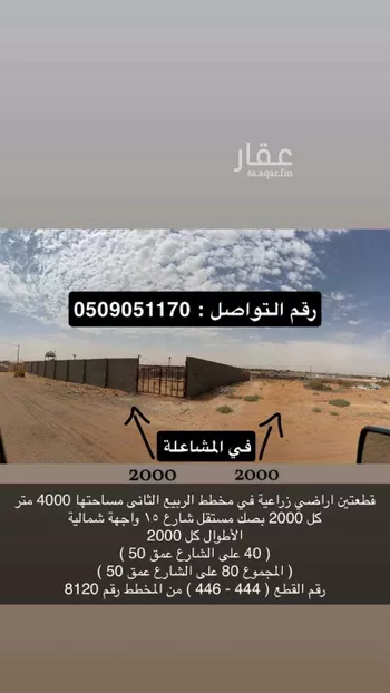 أرض للبيع في شارع هجره الذيبيه وخضراء 1621 ، المشاعلة ، المزاحمية
