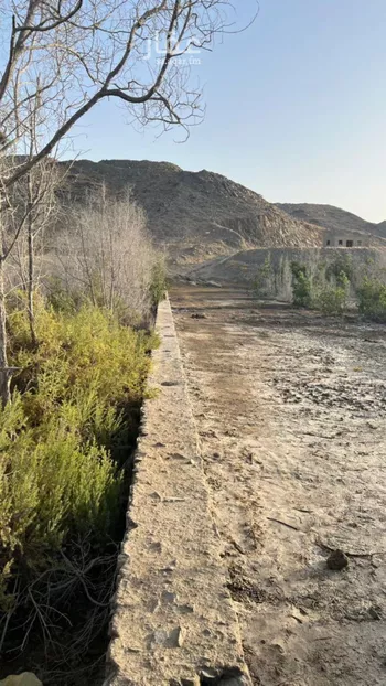 أرض للبيع في شارع الحارث بن عدي بن مالك المعاوي, حي أم حبلين الشرقية, مدينة جدة, منطقة مكة المكرمة
