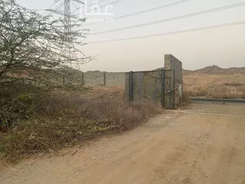 مزرعة للبيع في شارع انس بن قتادة الباهلي, مدينة جدة, منطقة مكة المكرمة صورة 3