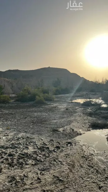 أرض للبيع في شارع الحارث بن عدي بن مالك المعاوي, حي أم حبلين الشرقية, مدينة جدة, منطقة مكة المكرمة صورة 2