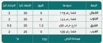 أرض للبيع في شارع 10905955, حي الرونق, مدينة ابها, منطقة عسير صورة 3