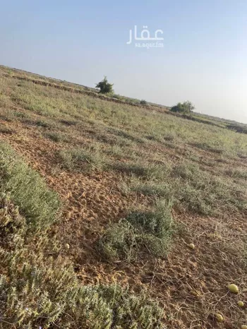 أرض للبيع في مدينة الإسكان ، احد المسارحة