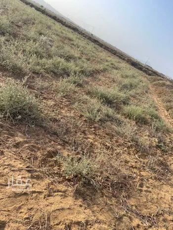 أرض للبيع في مدينة الإسكان ، احد المسارحة صورة 4