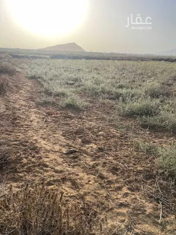 أرض للبيع في مدينة الإسكان ، احد المسارحة صورة 3