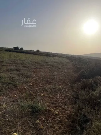 أرض للبيع في مدينة الإسكان ، احد المسارحة صورة 2