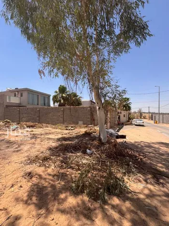 أرض للبيع في حي الإسكان ، بريدة ، بريدة صورة 5