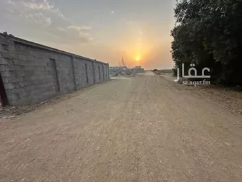أرض للإيجار في البطنة ، بيش صورة 3