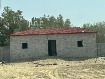 أرض للإيجار في البطنة ، بيش صورة 4